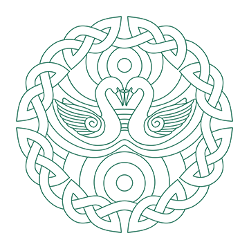 Drummany Spirit Ltd logo